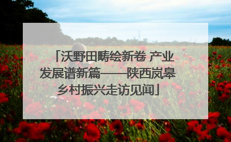 沃野田畴绘新卷 产业发展谱新篇——陕西岚皋乡村振兴走访见闻