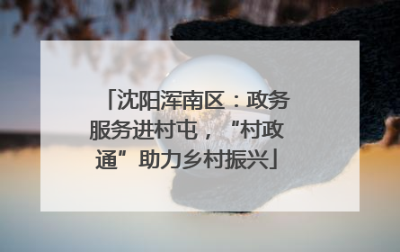 沈阳浑南区：政务服务进村屯，“村政通”助力乡村振兴