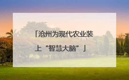 沧州为现代农业装上“智慧大脑”