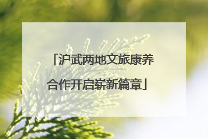 沪武两地文旅康养合作开启崭新篇章