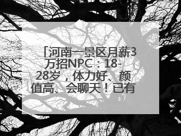 河南一景区月薪3万招NPC：18-28岁，体力好、颜值高、会聊天！已有1000多人应聘