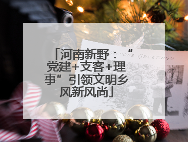 河南新野：“党建+支客+理事”引领文明乡风新风尚