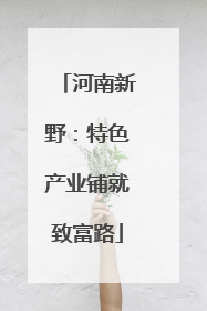 河南新野：特色产业铺就致富路