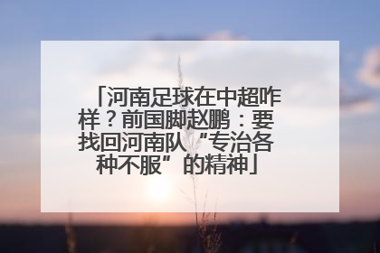 河南足球在中超咋样？前国脚赵鹏：要找回河南队“专治各种不服”的精神