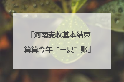 河南麦收基本结束 算算今年“三夏”账