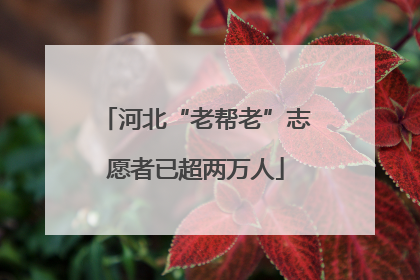 河北“老帮老”志愿者已超两万人