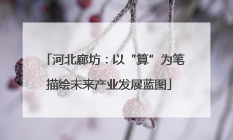 河北廊坊：以“算”为笔描绘未来产业发展蓝图