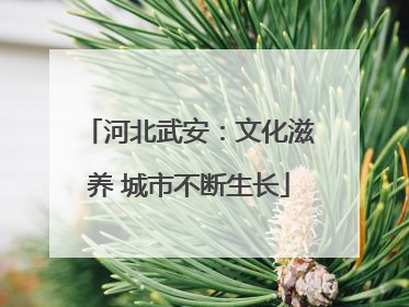 河北武安：文化滋养 城市不断生长