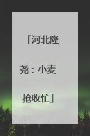 河北隆尧：小麦抢收忙