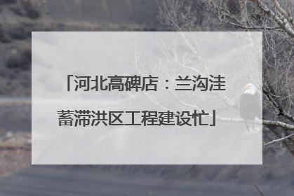 河北高碑店：兰沟洼蓄滞洪区工程建设忙