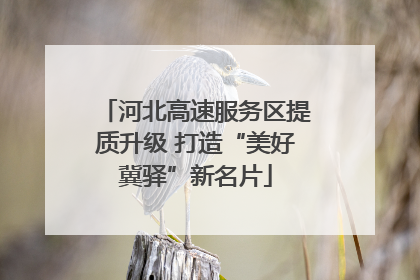 河北高速服务区提质升级 打造“美好冀驿”新名片
