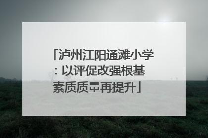 泸州江阳通滩小学：以评促改强根基 素质质量再提升