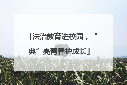 法治教育进校园，“典”亮青春护成长