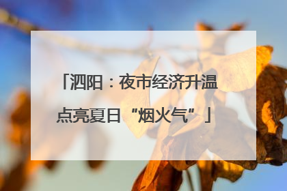 泗阳：夜市经济升温 点亮夏日“烟火气”