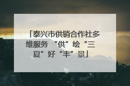 泰兴市供销合作社多维服务 “供”绘“三夏”好“丰”景