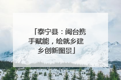 泰宁县：闽台携手赋能，绘就乡建乡创新图景