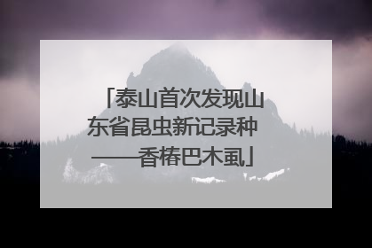 泰山首次发现山东省昆虫新记录种——香椿巴木虱