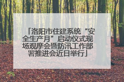 洛阳市住建系统“安全生产月”启动仪式现场观摩会暨防汛工作部署推进会近日举行