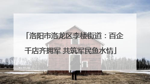 洛阳市洛龙区李楼街道：百企千店齐拥军 共筑军民鱼水情