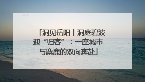 洞见岳阳丨洞庭碧波迎“归客”：一座城市与麋鹿的双向奔赴