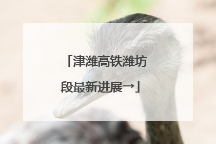 津潍高铁潍坊段最新进展→