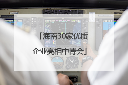 海南30家优质企业亮相中博会
