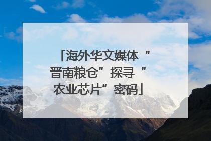 海外华文媒体“晋南粮仓”探寻“农业芯片”密码