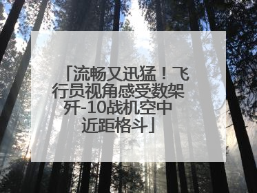 流畅又迅猛！飞行员视角感受数架歼-10战机空中近距格斗