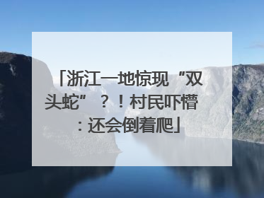 浙江一地惊现“双头蛇”？！村民吓懵：还会倒着爬
