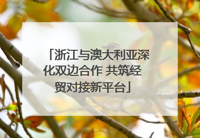 浙江与澳大利亚深化双边合作 共筑经贸对接新平台