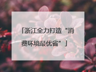 浙江全力打造“消费环境最优省”