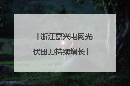 浙江嘉兴电网光伏出力持续增长