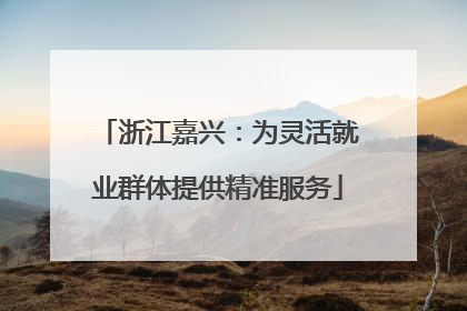 浙江嘉兴：为灵活就业群体提供精准服务