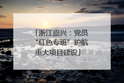 浙江嘉兴：党员“红色专班”护航重大项目建设