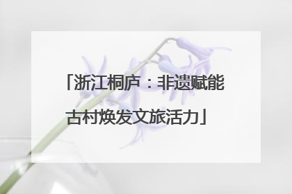 浙江桐庐：非遗赋能古村焕发文旅活力
