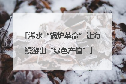 浠水“锅炉革命”让海鳗游出“绿色产值”