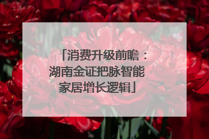 消费升级前瞻：湖南金证把脉智能家居增长逻辑