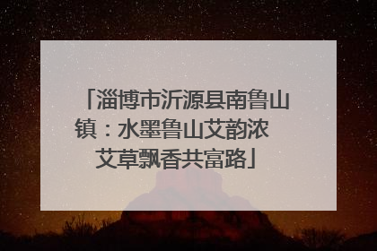 淄博市沂源县南鲁山镇：水墨鲁山艾韵浓 艾草飘香共富路