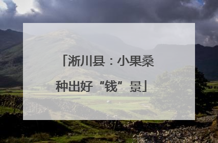 淅川县：小果桑种出好“钱”景