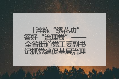 淬炼“绣花功” 答好“治理卷”——全省街道党工委副书记抓党建促基层治理培训示范班侧记