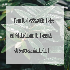 淮北市委副秘书长谢谢出任淮北市国防动员办公室主任