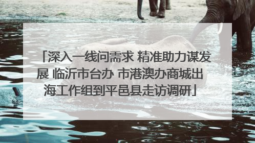 深入一线问需求 精准助力谋发展 临沂市台办 市港澳办商城出海工作组到平邑县走访调研