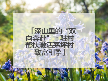 深山里的“双向奔赴”：驻村帮扶激活茅坪村致富引擎
