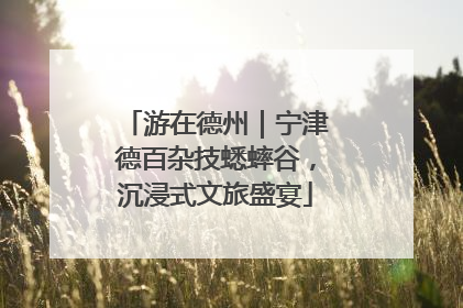 游在德州｜宁津德百杂技蟋蟀谷，沉浸式文旅盛宴