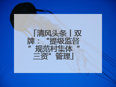 清风头条丨双牌：“提级监督”规范村集体“三资”管理
