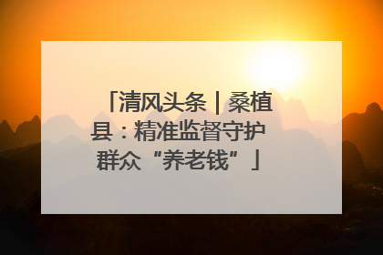 清风头条｜桑植县：精准监督守护群众“养老钱”