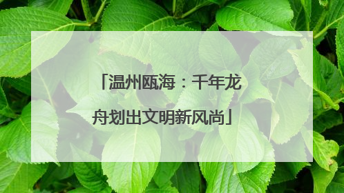 温州瓯海：千年龙舟划出文明新风尚