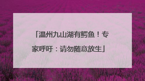 温州九山湖有鳄鱼！专家呼吁：请勿随意放生