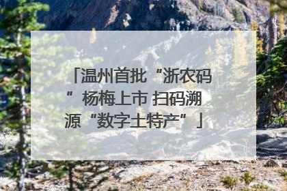 温州首批“浙农码”杨梅上市 扫码溯源“数字土特产”