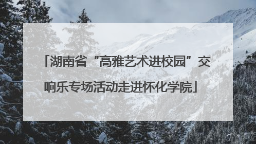湖南省“高雅艺术进校园”交响乐专场活动走进怀化学院